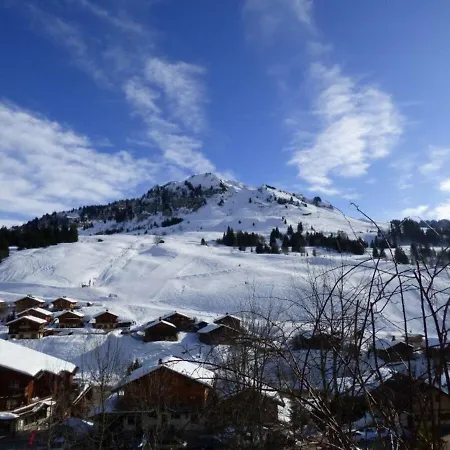 Le Grand-bornand, 3 Pièces, 6 Personnes - Fr-1-458-93 Appartement Le Grand-Bornand